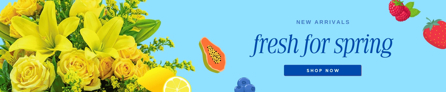 New Arrivals Fresh For Spring Banner